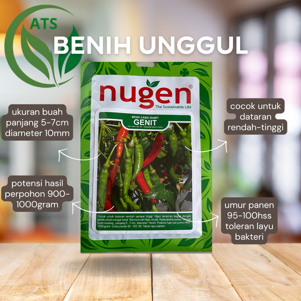 Benih Cabe Rawit GENIT 10gr NUGEN - Buah Super Lebat & Ekstra Pedas - Tahan Layu Bakteri - Bibit Cab