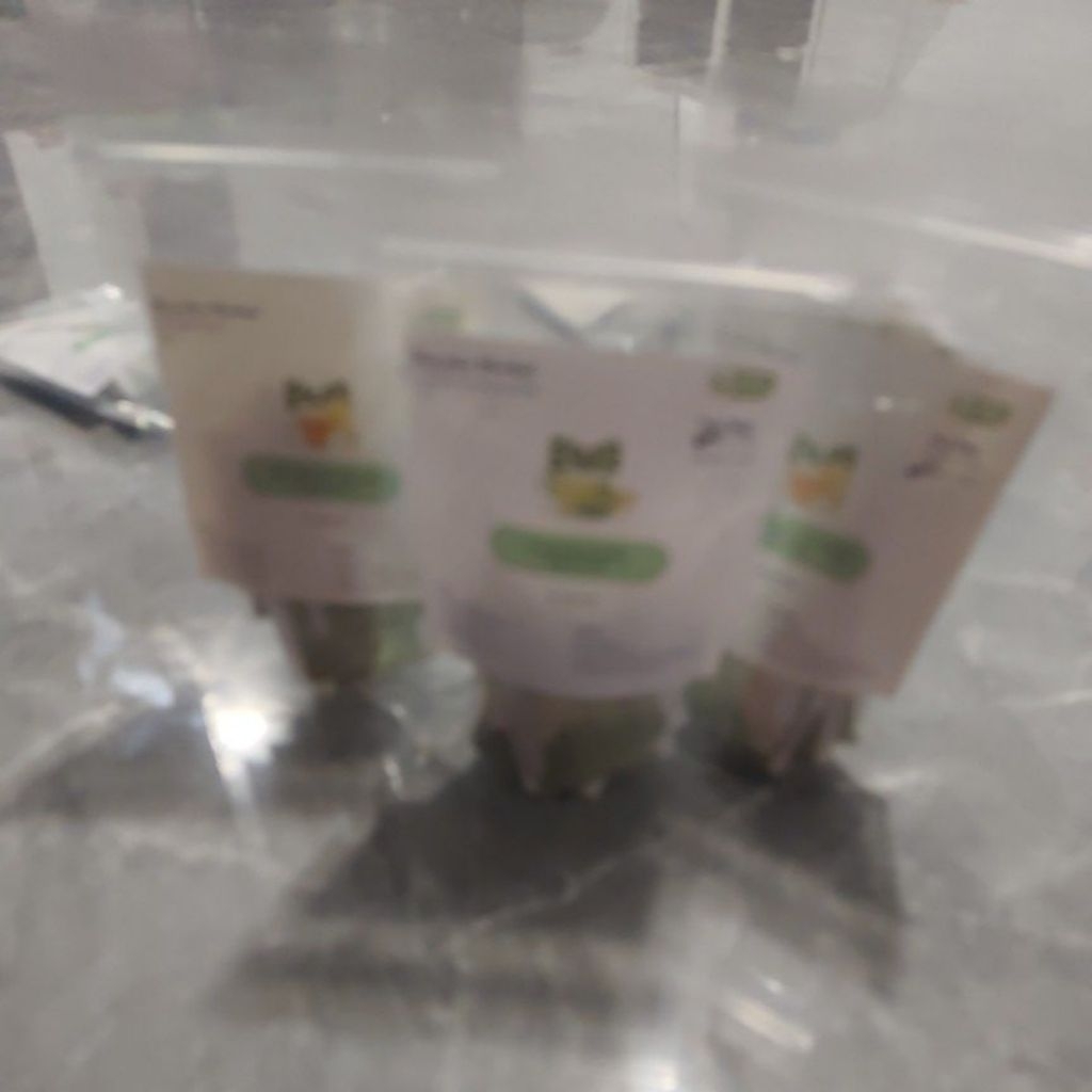 Teh Daun Kelor, Jahe, Kayu Manis