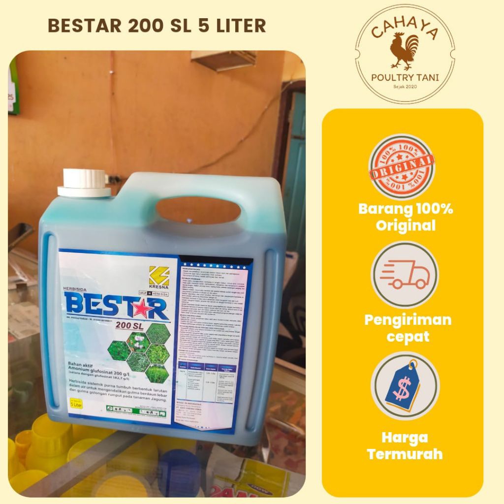BESTAR Herbisida Sistemik Bestar 5 Liter, Pengendali Rumput Lulangan Tanaman Jagung