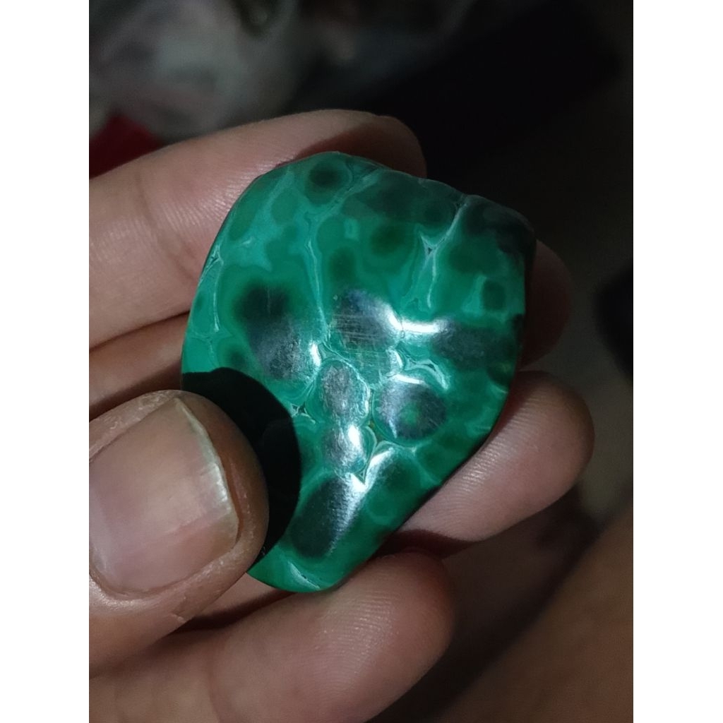 bahan batu bulu merak hijau full kura