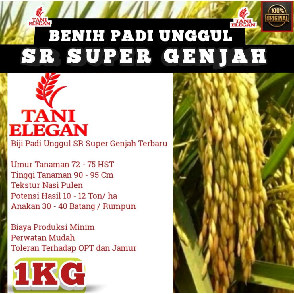 BENIH PADI SR SUPER GENJAH KEMASAN 1KG
