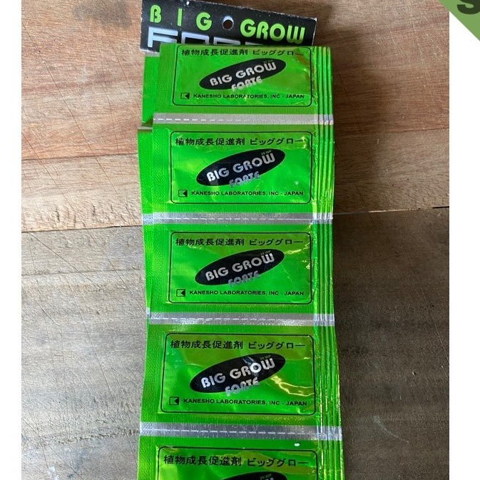 ZPT BIG GROW 1 sachet