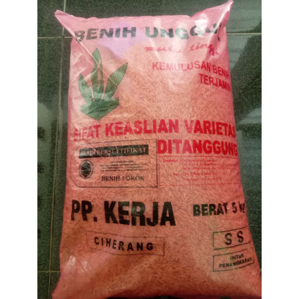 BenihUNGGUL CIHERANG BOYOLALI  PPKERJA SS