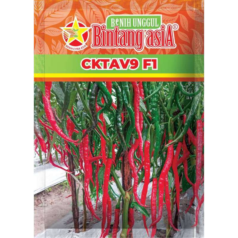 Benih Cabe CKTAV9 F1 10 Gram Bintang Asia