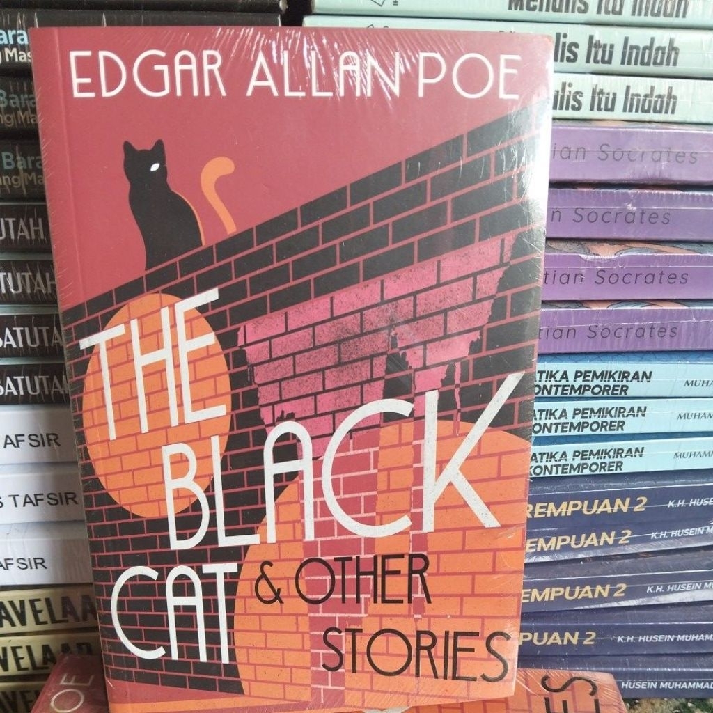 THE BLACK CAT & OTHER STORIES EDGAR ALLAN POE