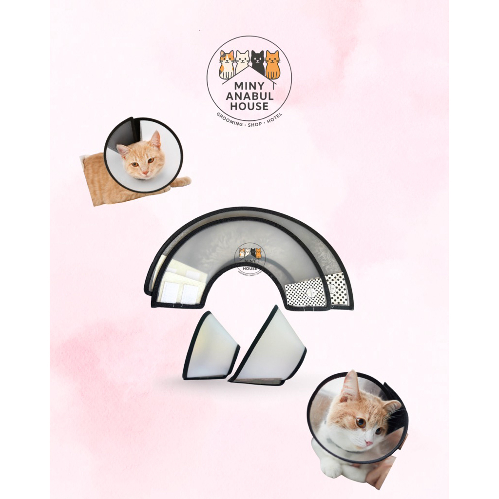 Collar Kucing Pelindung Luka