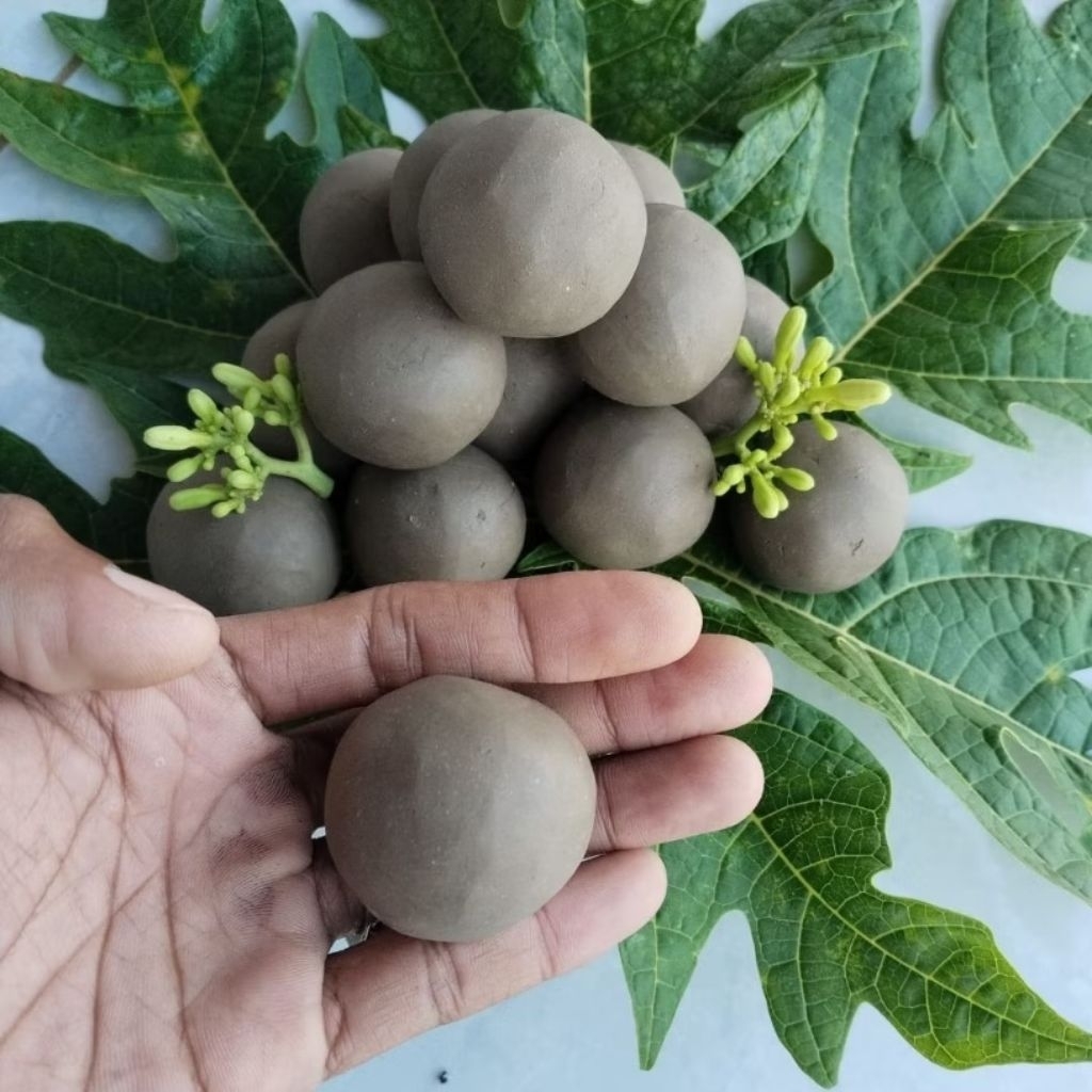 AMPO tanah liat untuk merebus daun pepaya isi 30 butir