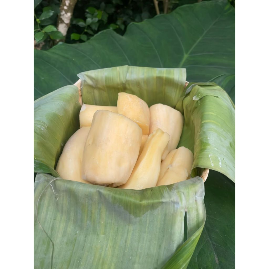 Tape singkong mentega khas gembong pati,manis ,legit,pulen