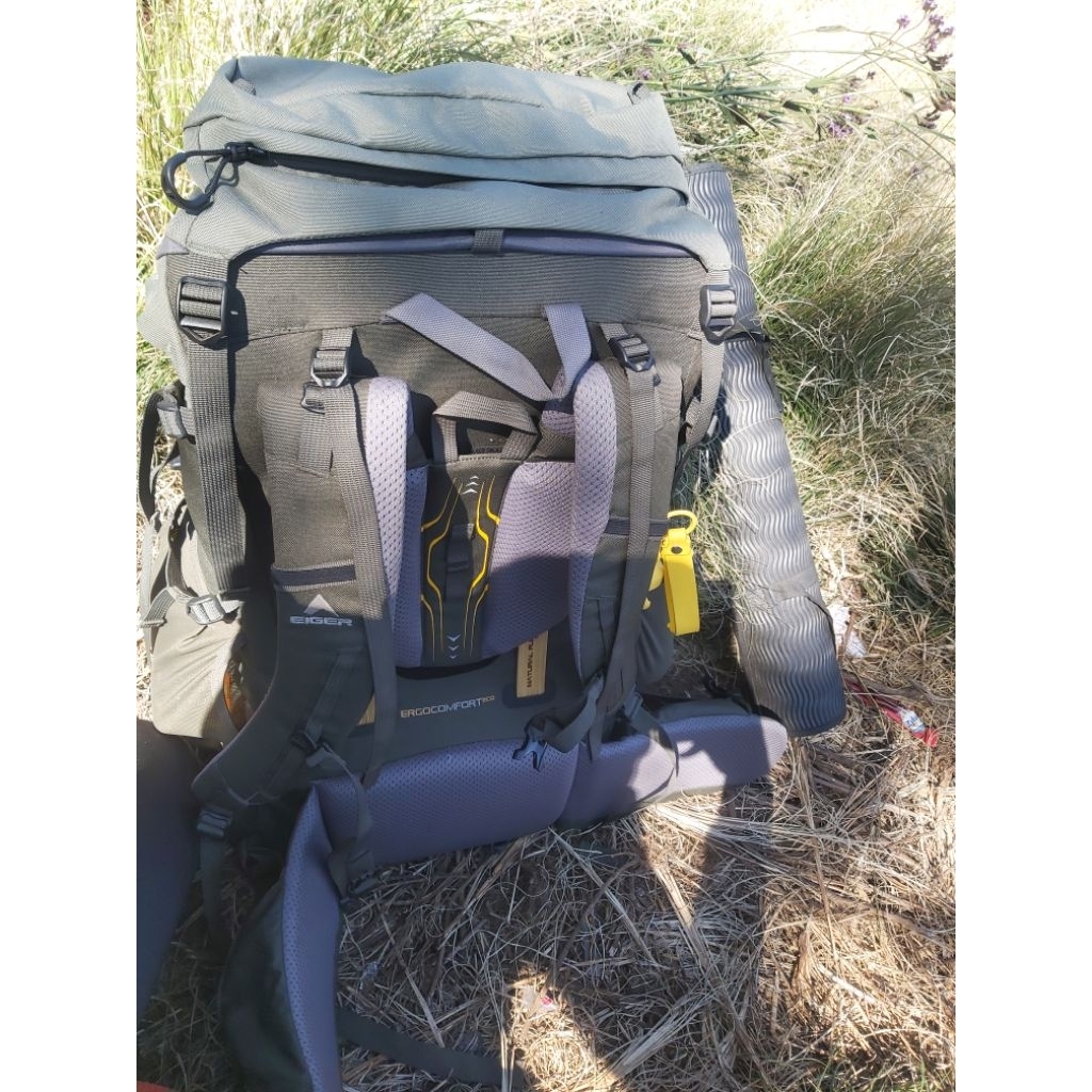 carier ecosavior second