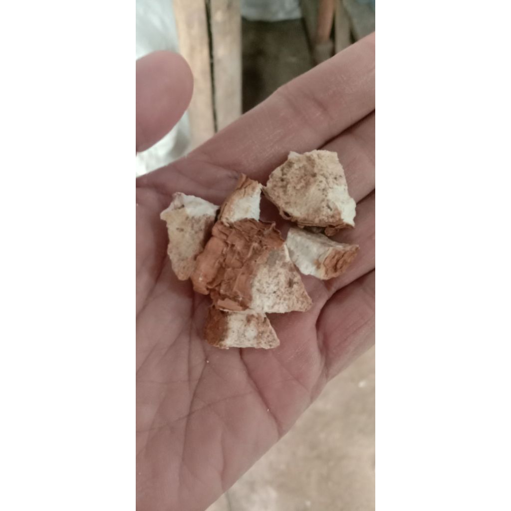 gaplek cip, potongan, belum giling, belum kupas pakan ternak