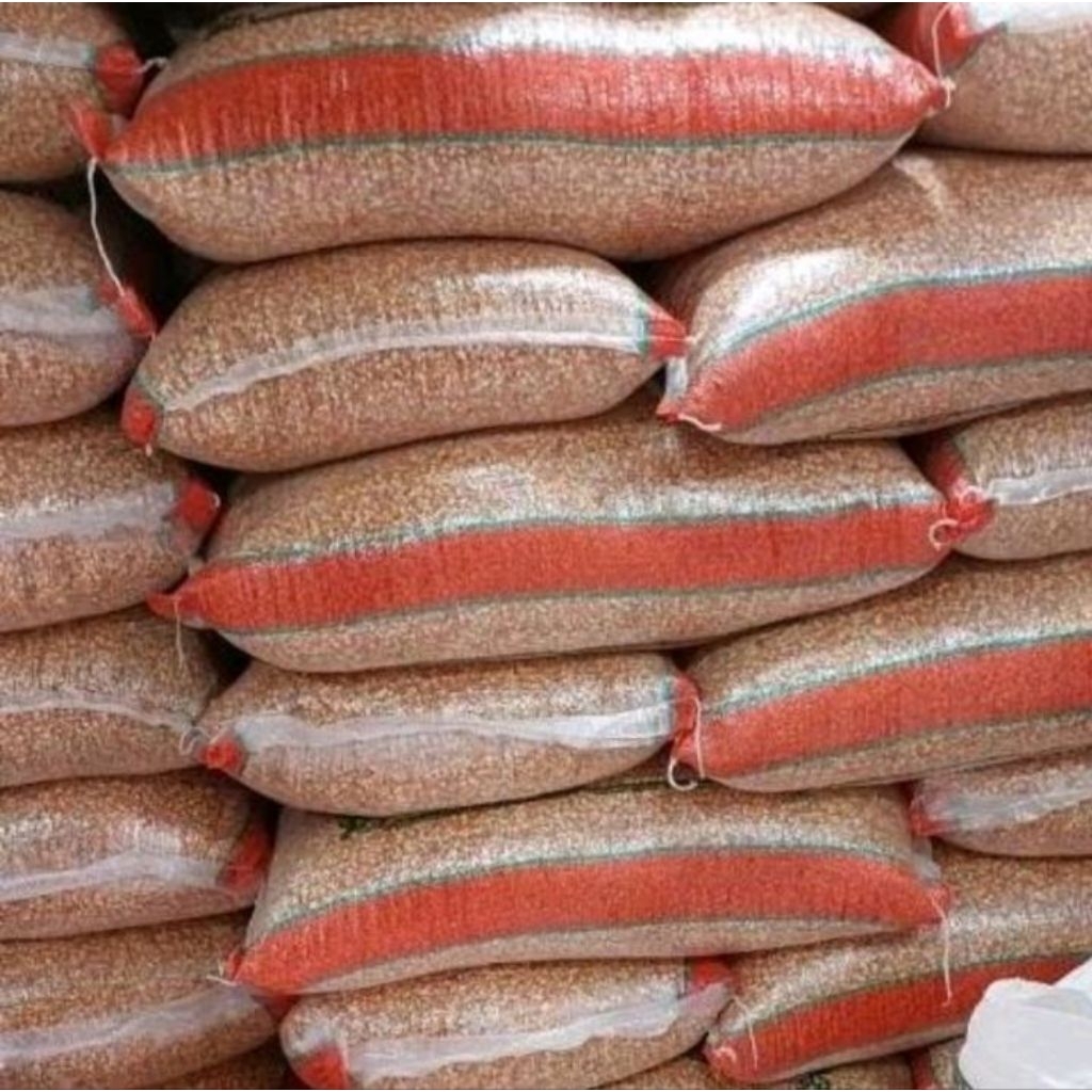 Jagung Kristal 25Kg - Jagung Kristal Probolinggo Merpati Holic kemasan 25Kg