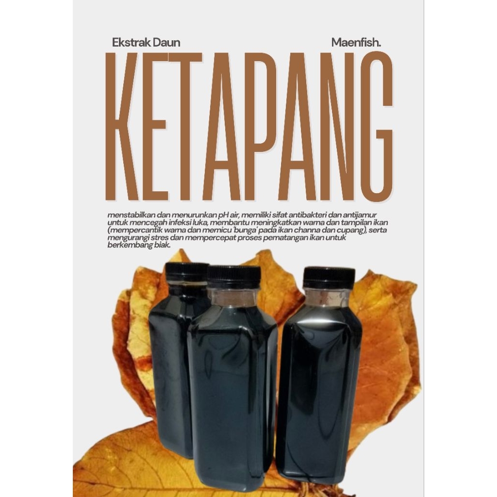 Ekstrak daun ketapang 250ml || Ikan channa/cupang