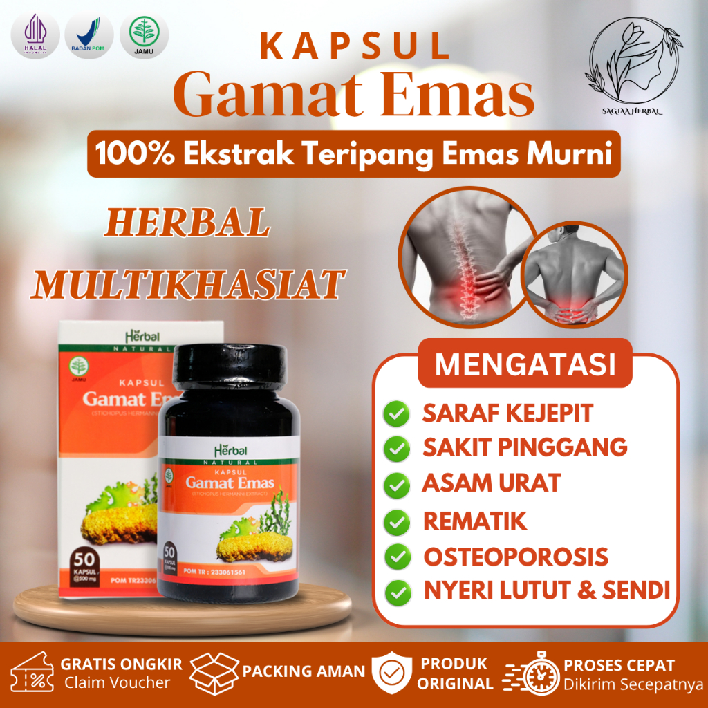 Kapsul Gamat Emas Obat Untuk Sakit Pinggang Saraf Kejepit Asam Urat Osteoporosis Nyeri Lutut & Sendi