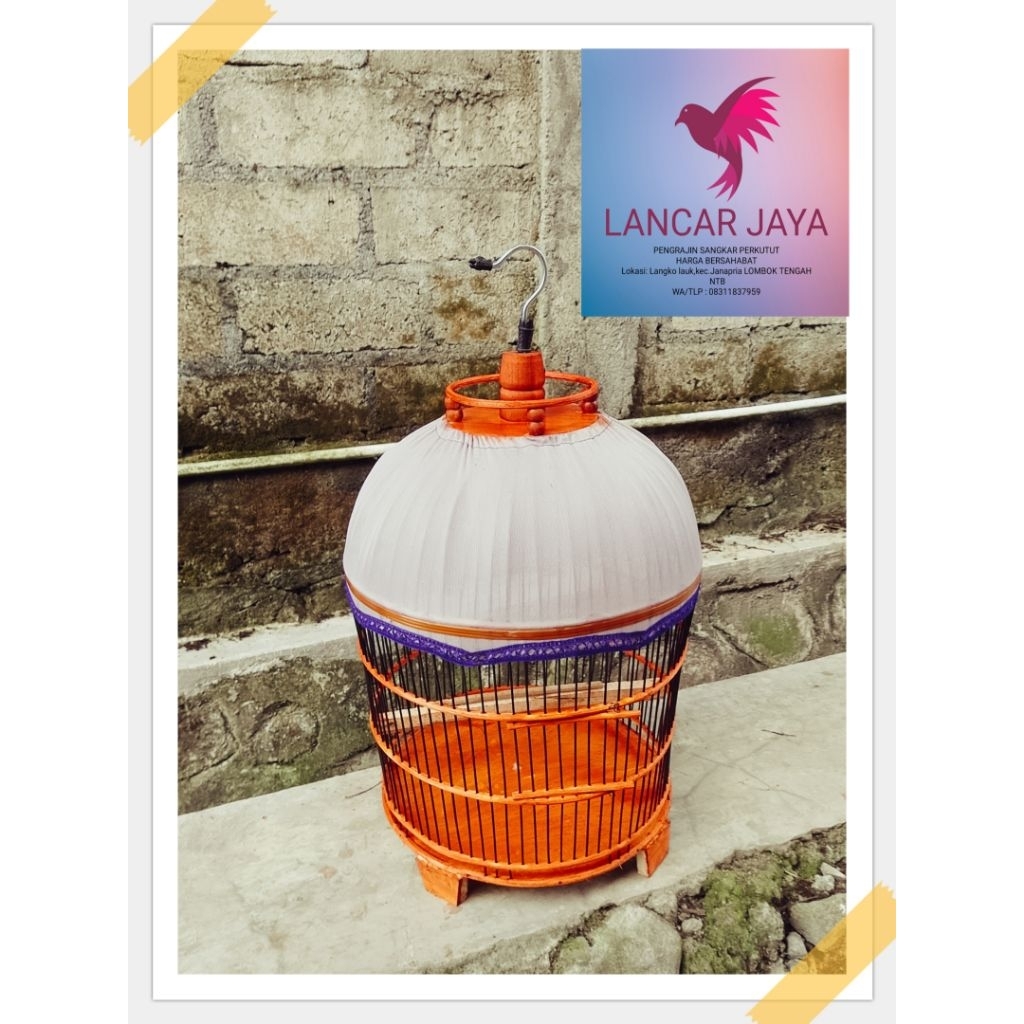 SANGKAR PERKUTUT MAHKOTA KAYU FULL PELITUR