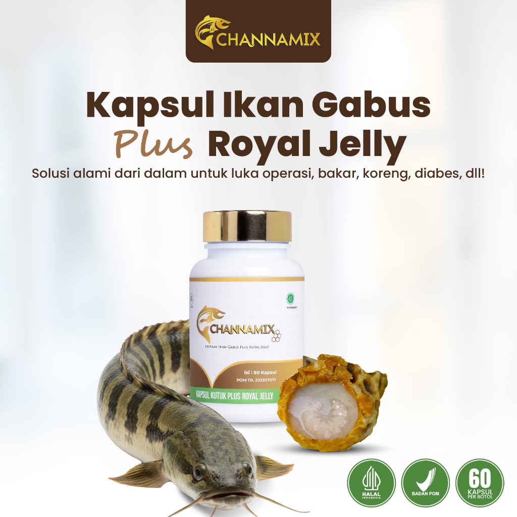 Kapsul Sari Kutuk CHANNAMIX MEDIKA CARE Ektrak Ikan Gabus Plus Gamat Mempercepat Penyembuhan Luka Pa