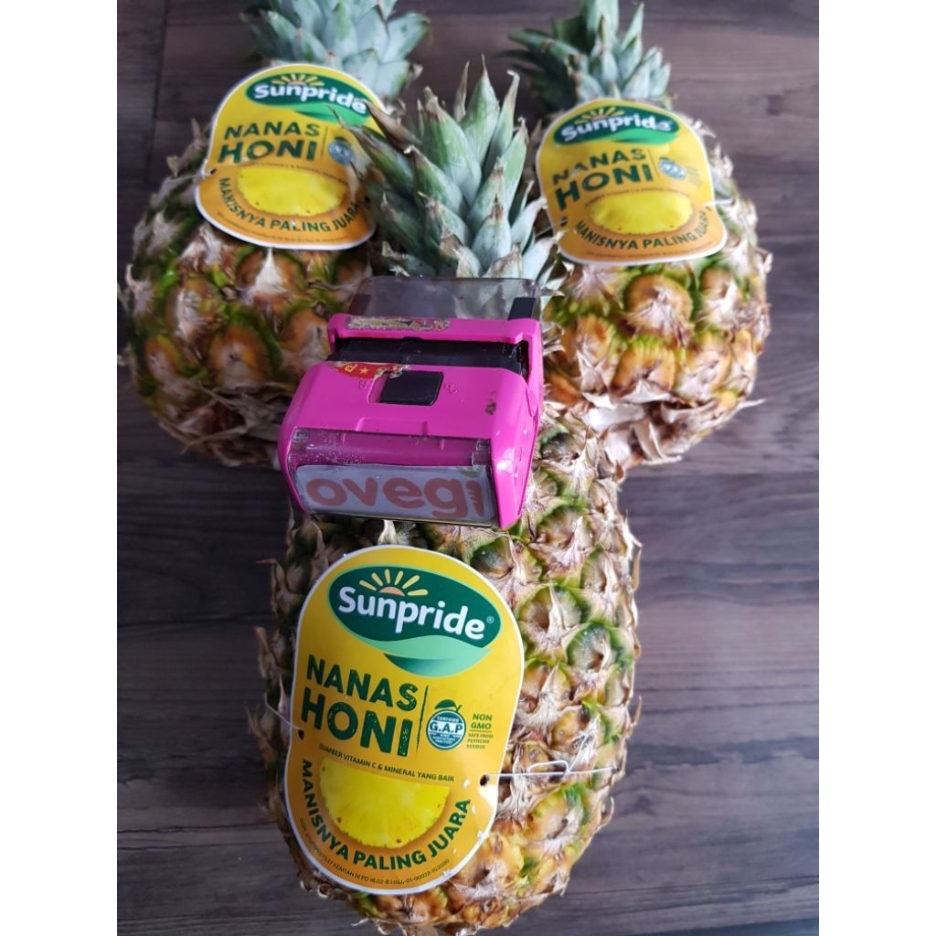 NANAS HONI JUMBO sunpride per biji