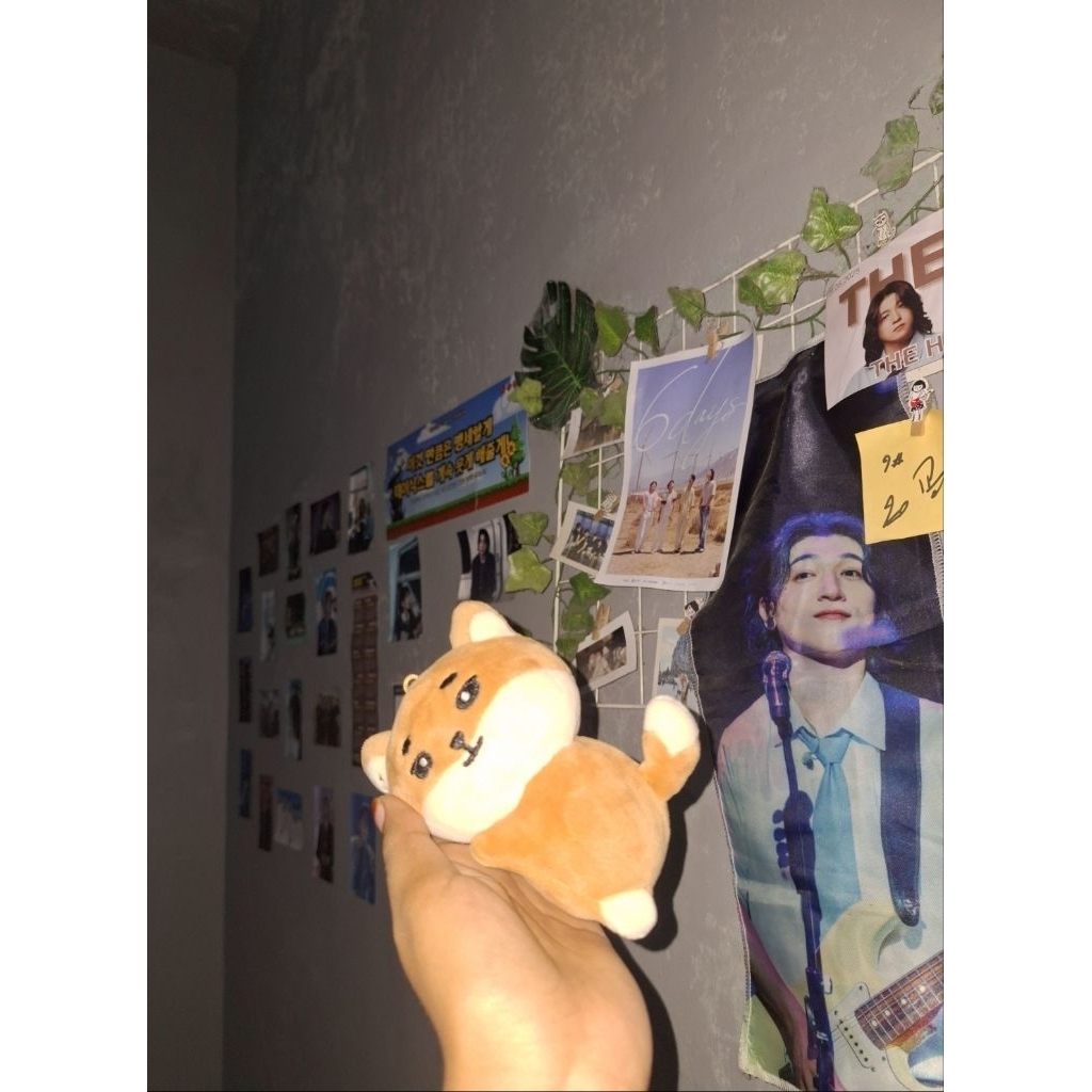 KKE HANDWARMER DENIMALZ DAY6