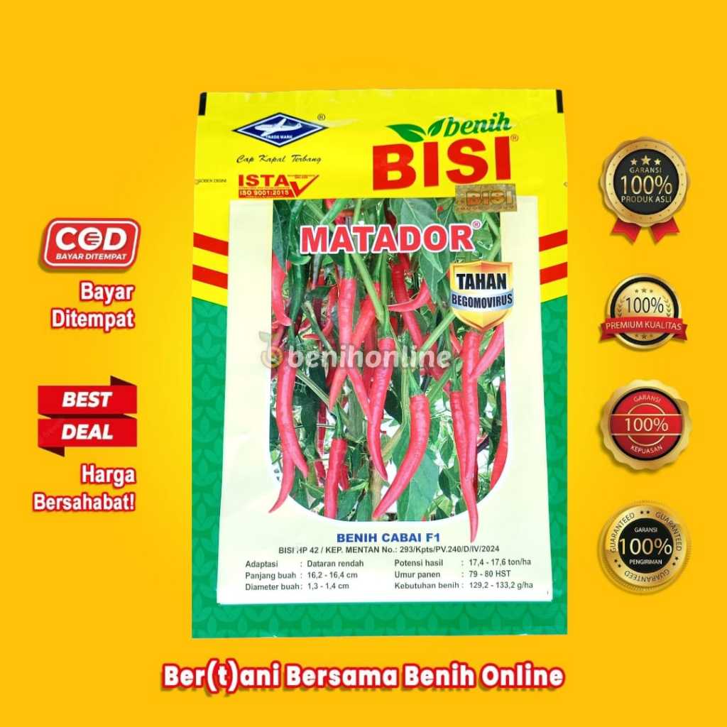 Benih Cabe Besar MATADOR F1 2250 Butir TAHAN VIRUS - BISI KAPAL TERBANG