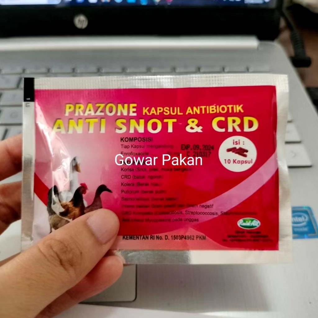 1 PCS Obat Anti Snot Isi 10 Kapsul CRD Prazone Pilek Ayam, Burung, Bebek dan Unggas Lainnya