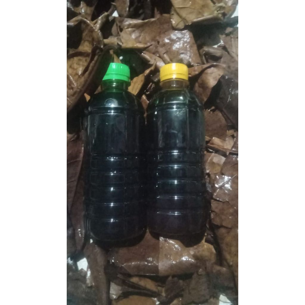 Botol Extra Ketapang Super pekat