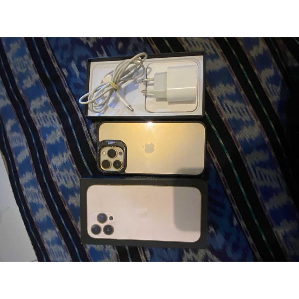 iPhone 13 pro max 128 GB mulus