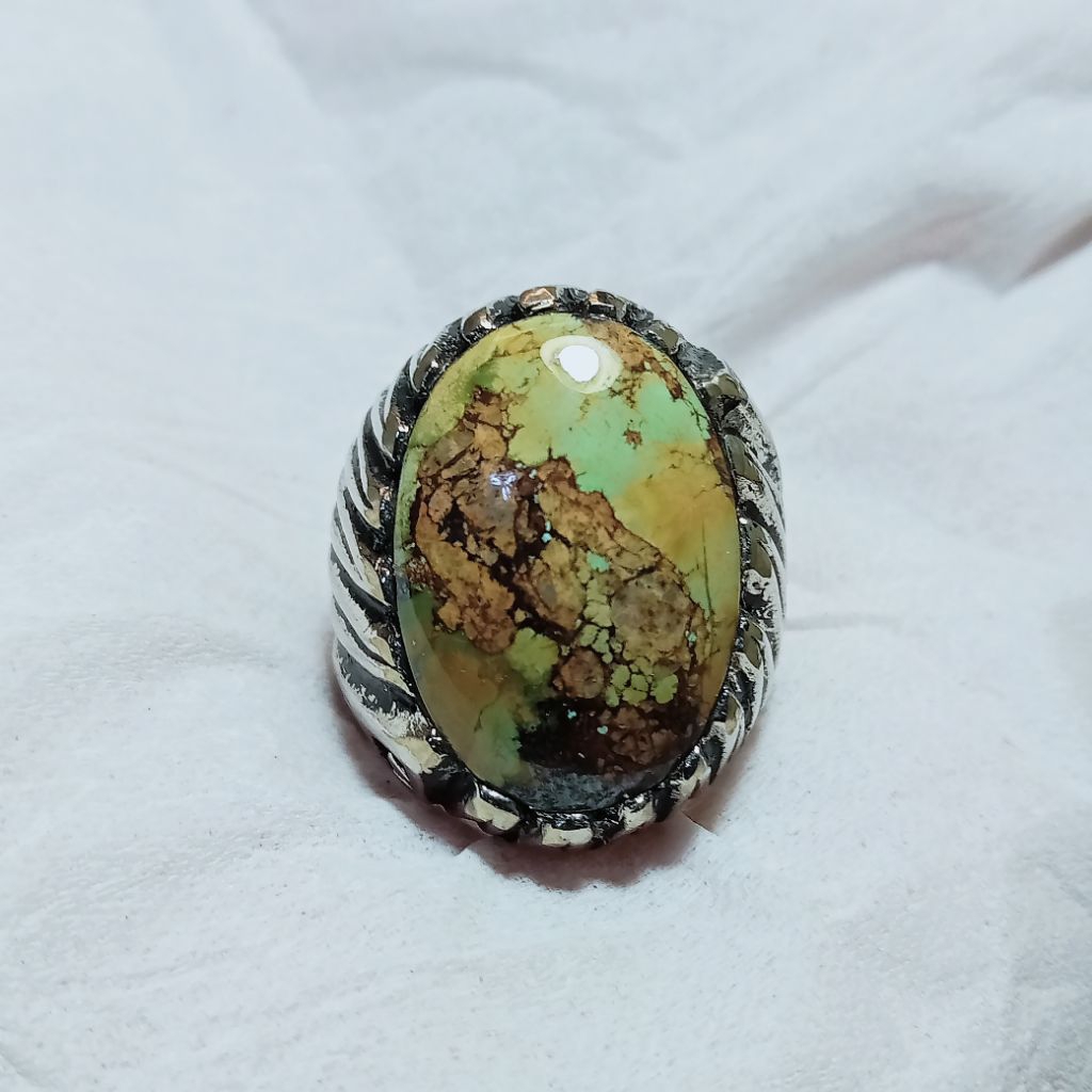 natural pirus Persia hijau lawas