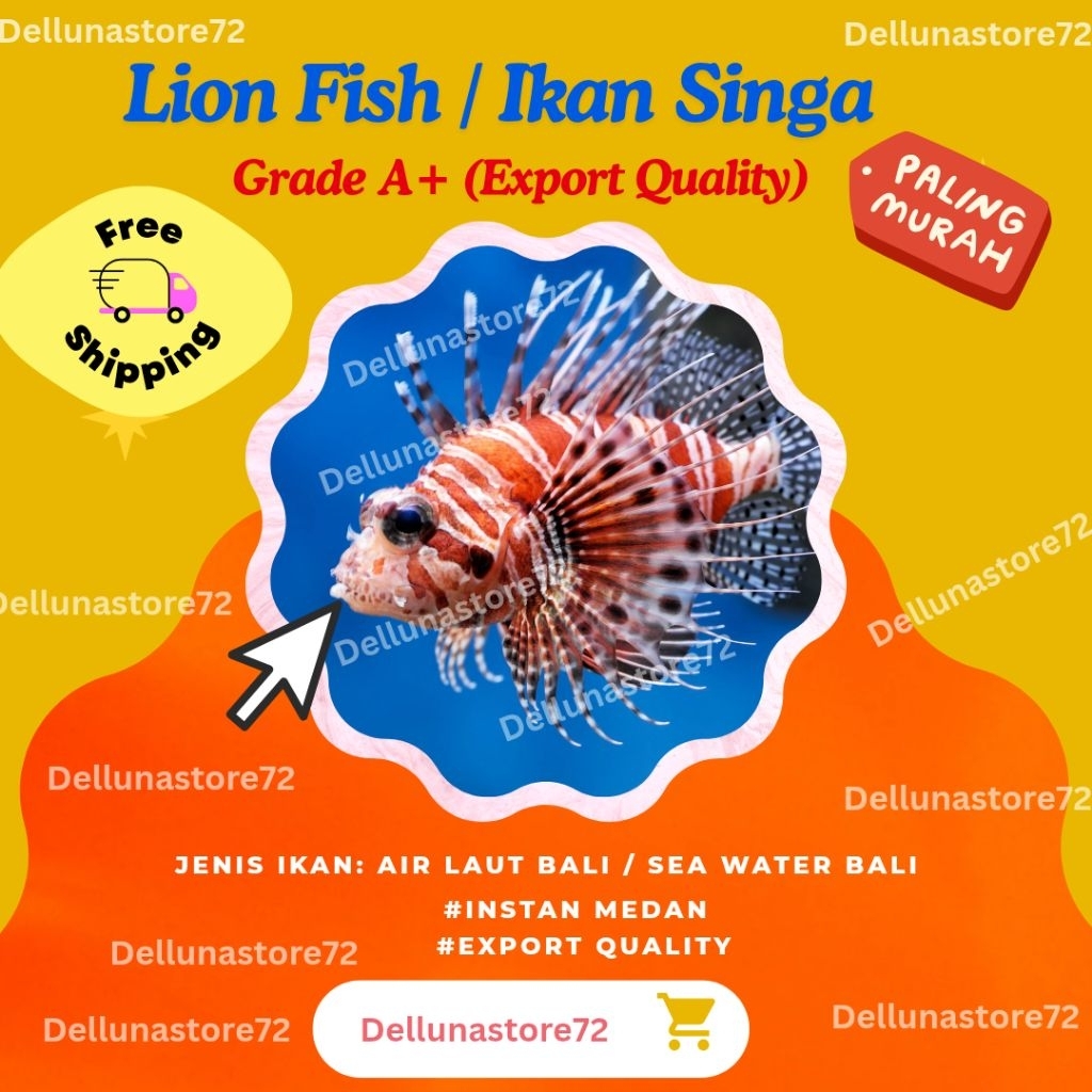 LION FISH AIR LAUT I IKAN HIAS AIR LAUT I INSTAN KOTA MEDAN