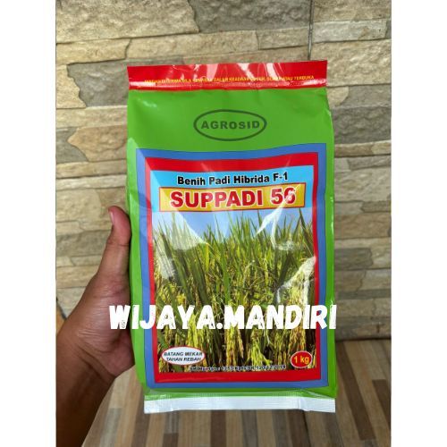 BIBIT BENIH PADI HIBRIDA F1 SUPPADI 56 1KG