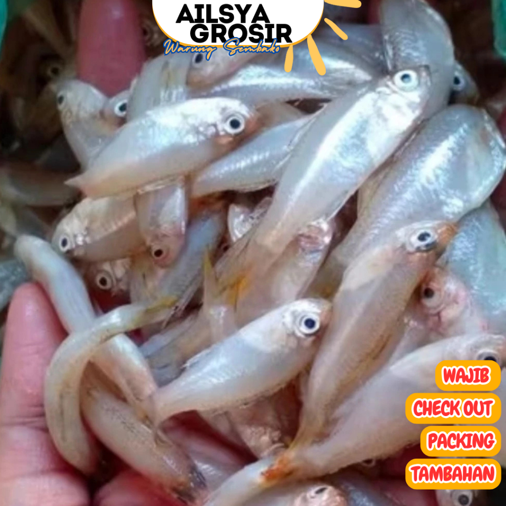 IKAN WADER LAUT SEGAR BERSIH 1 KG