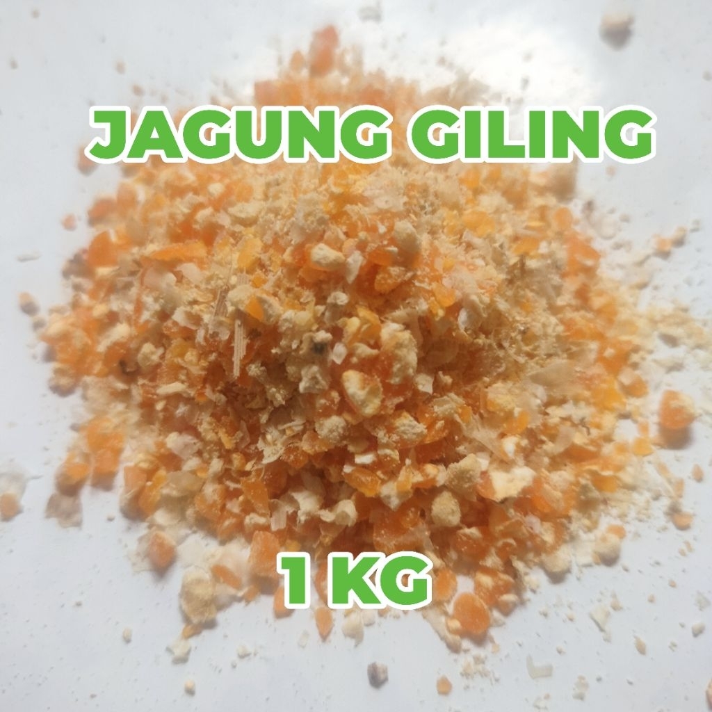 Jagung Giling 1 Kg Termurah