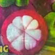 per kotak amoralin kemasan baru per kotak amoralin kemasan baru