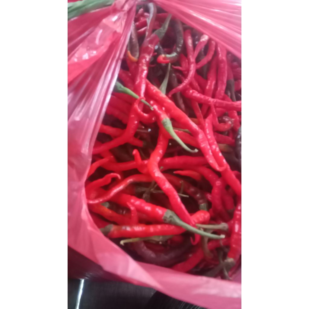 cabe merah keriting 1kg