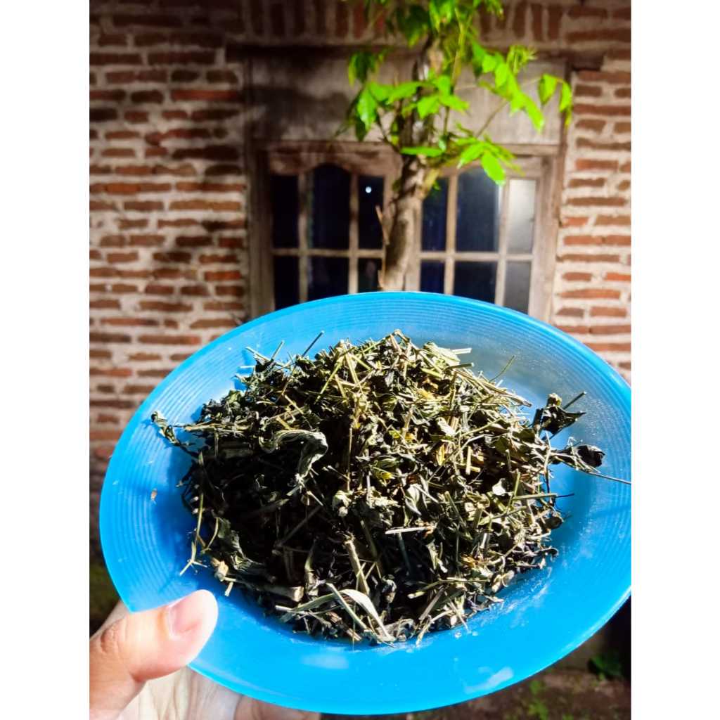 Sambiloto Kering/Sambiloto Cacah Kering/Obat herbal