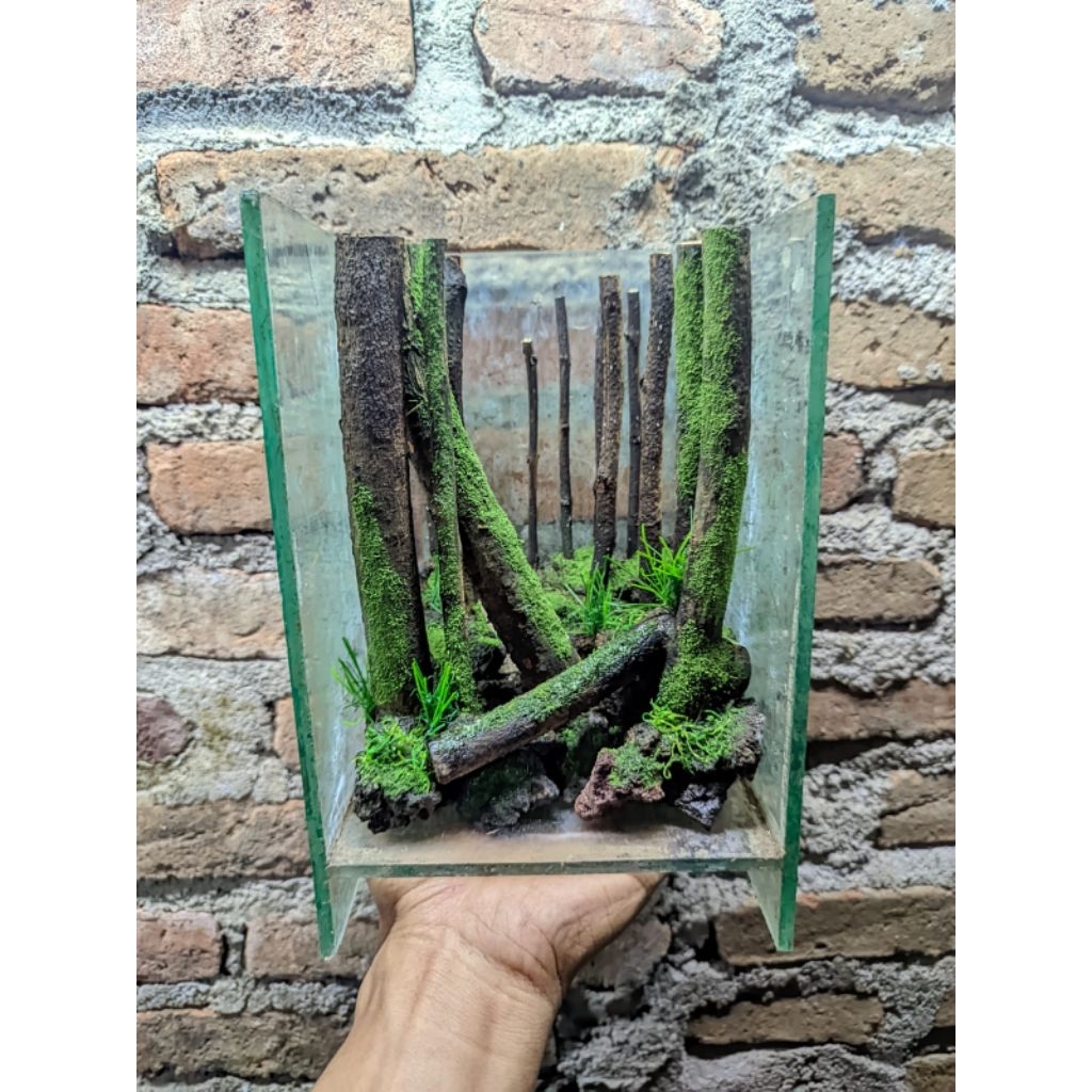 MINI JUNGLE AQUASCAPE TINGGAL MASUK TANK/FULLSET UKURAN 15*15*20