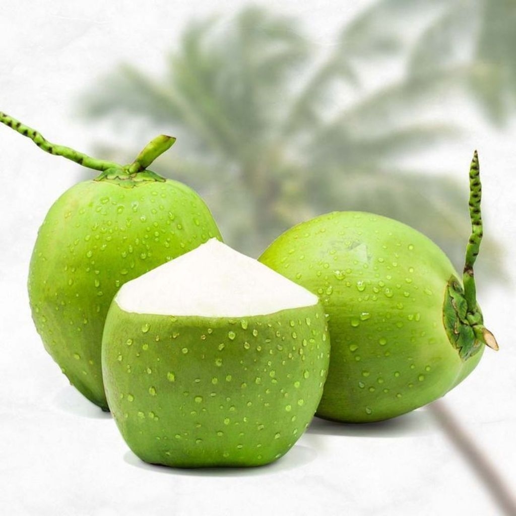 Kelapa hijau, kelapa muda, air kelapa muda