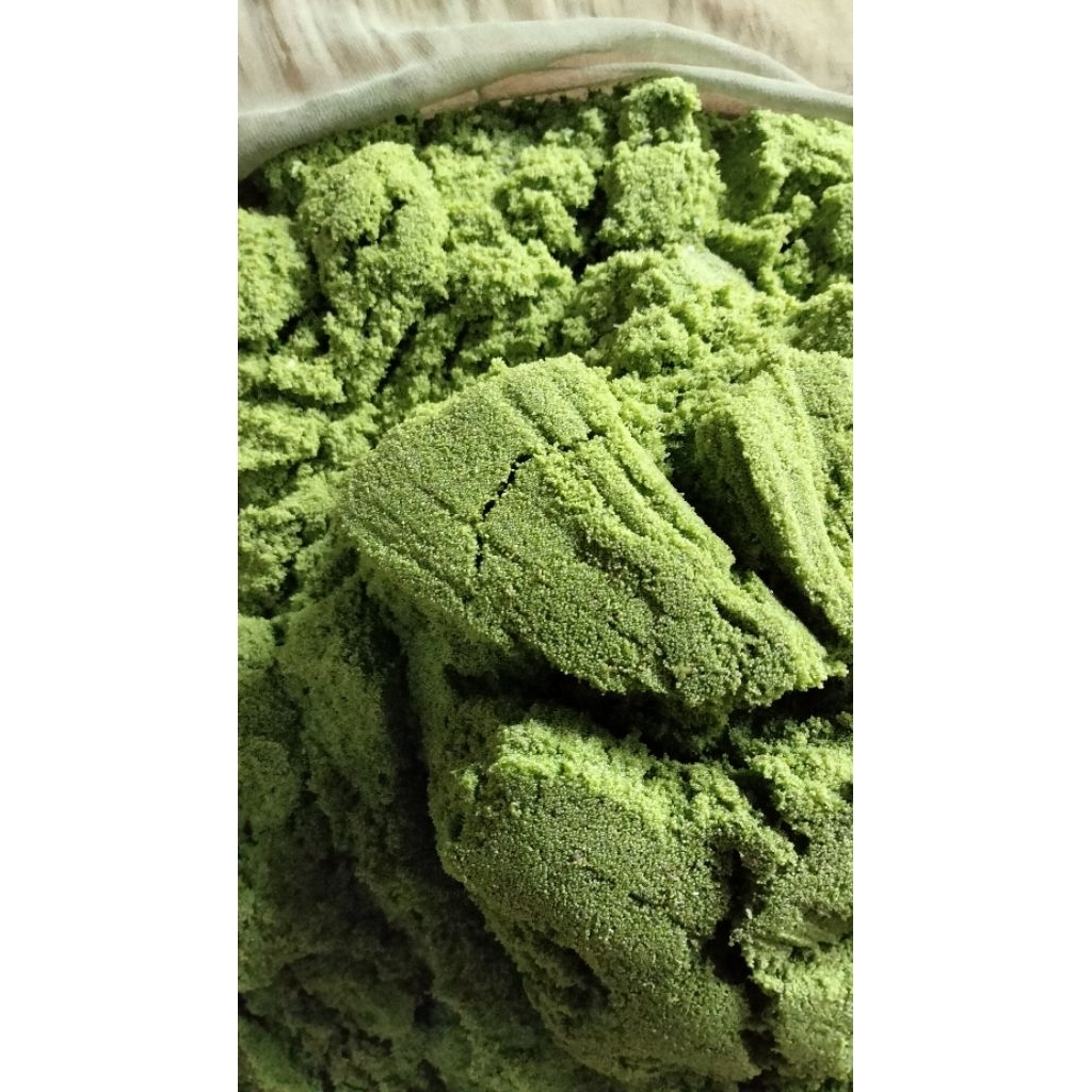 bibit wolffia 100 gram bergarans