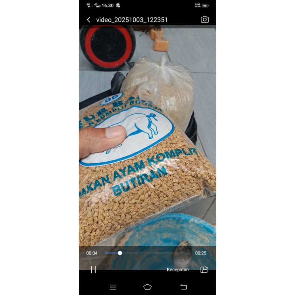 Pur ayam pakan ayam cap babi untuk ayam bebek unggas