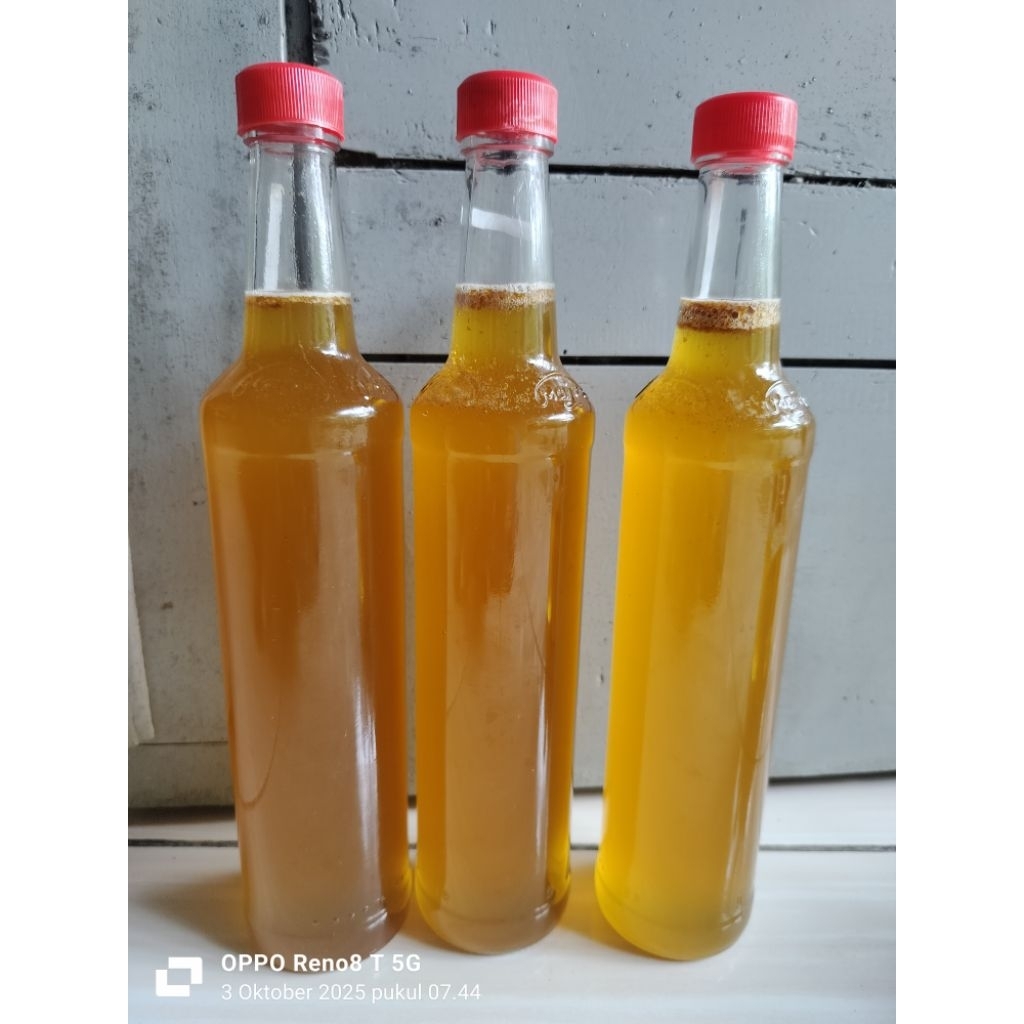 Madu Tawon Gung Liar