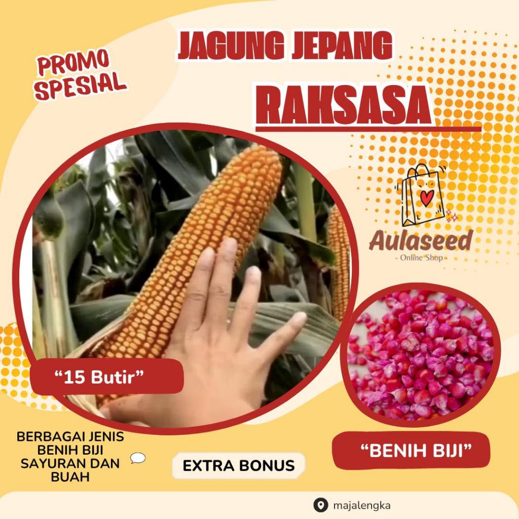 15 Butir> Biji Jagung Raksasa Jepang> Bibit Jagung Raksasa