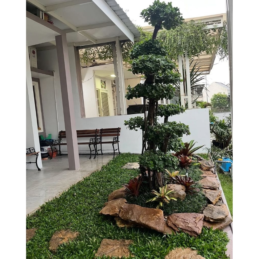Dekorasi taman minimalis depan rumah
