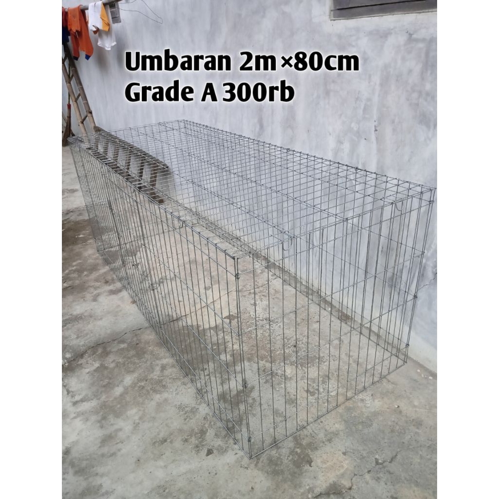 Umbaran ayam Bangkok bahan galvanis UK 80cm×2m
