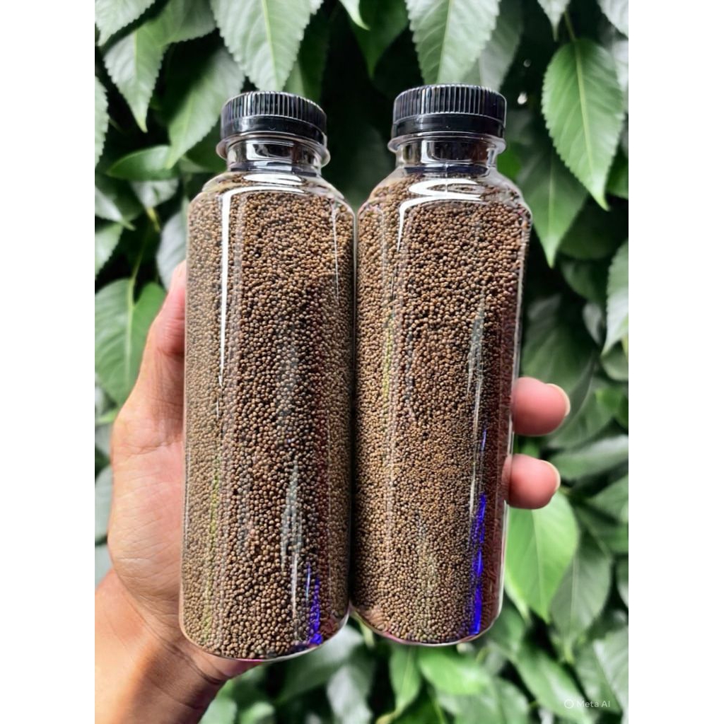 Pakan ikan hias kecil cupang guppy manfish glofish dll