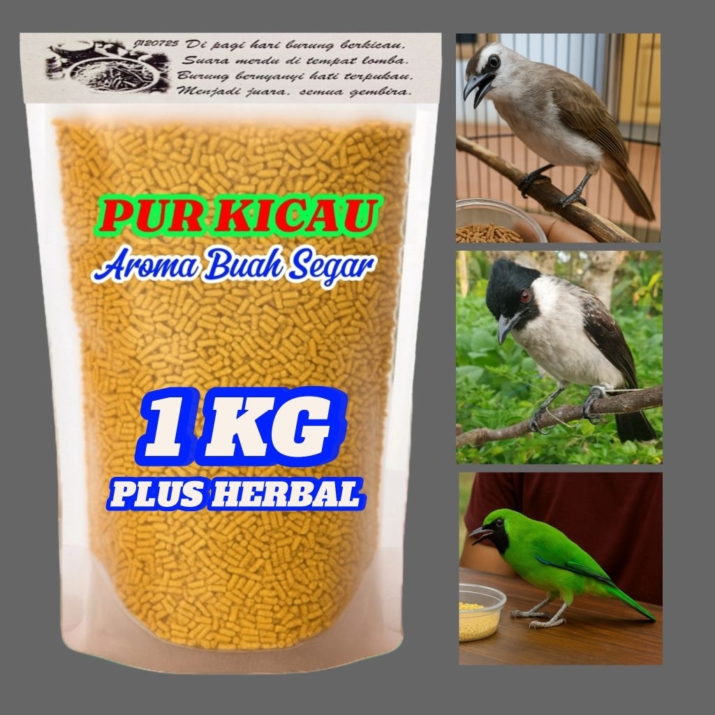 Pur Kutilang. Pur Kicau. Voer Burung Kutilang. Makanan Burung Kutilang.