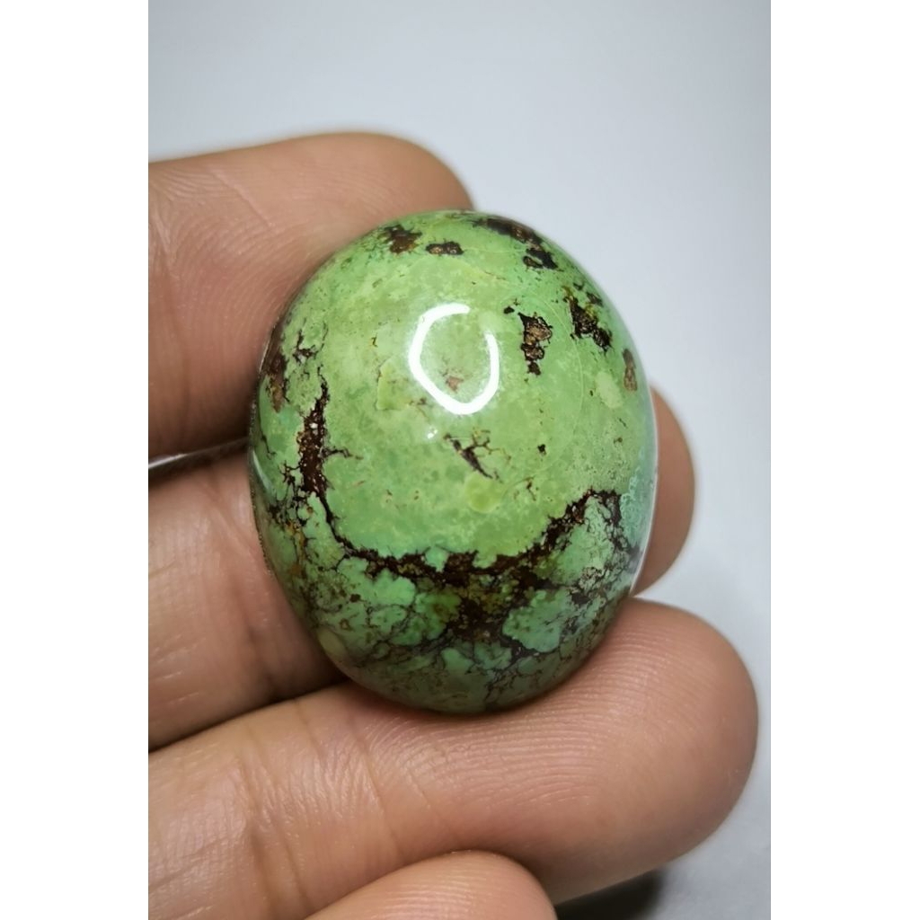 Pirus Persia Hijau Pupus