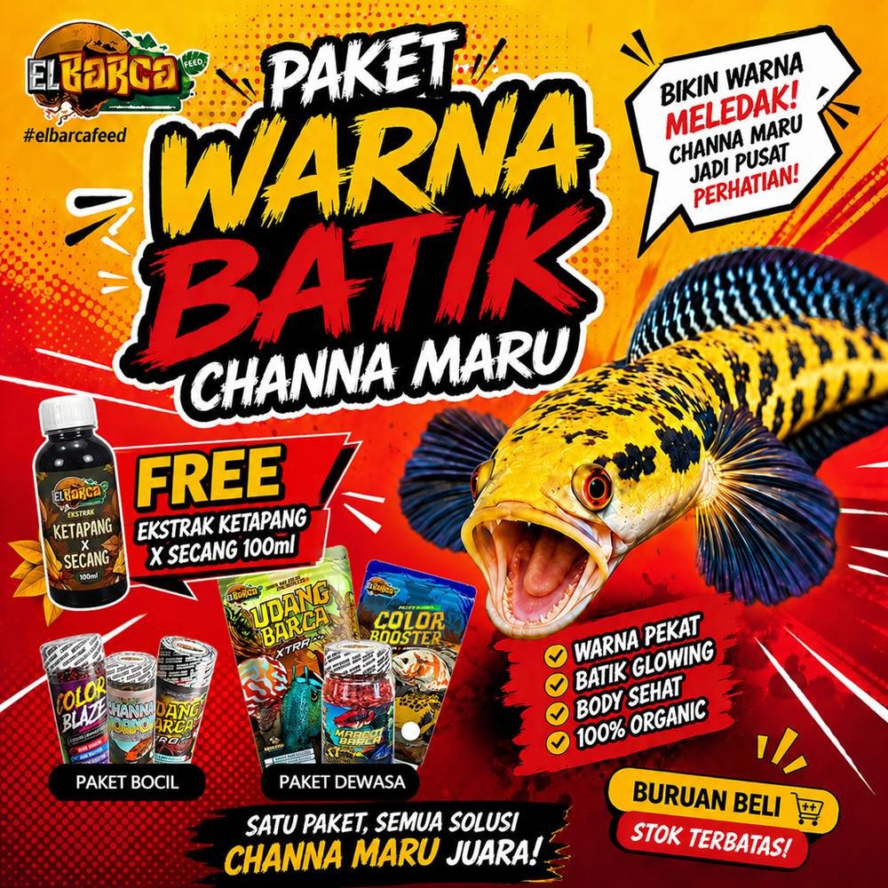 PAKET PAKAN CHANNA MARU YS/RED (PUSH Batik Up, warna red/yellow Up, mata merah) Free Sticker Channa