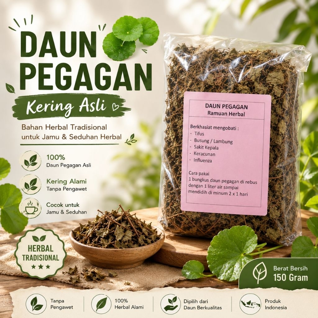 Daun Pegagan Kering Asli | Herbal Tradisional | Bahan Jamu Pegagan Kering