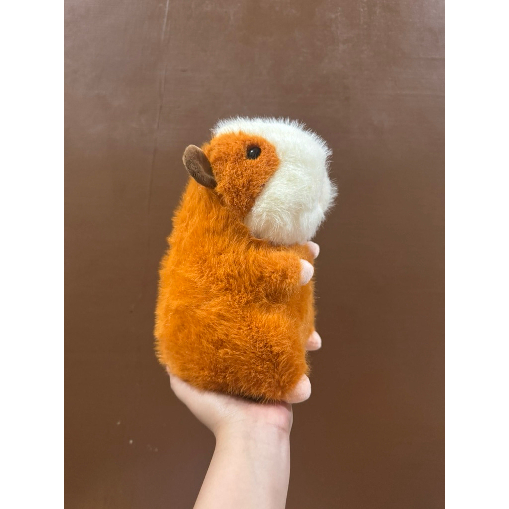 Boneka Karakter Guinea Pig size 25cm / Boneka Karakter Hewan Guinea Pig / Boneka Hewan / Boneka Guin