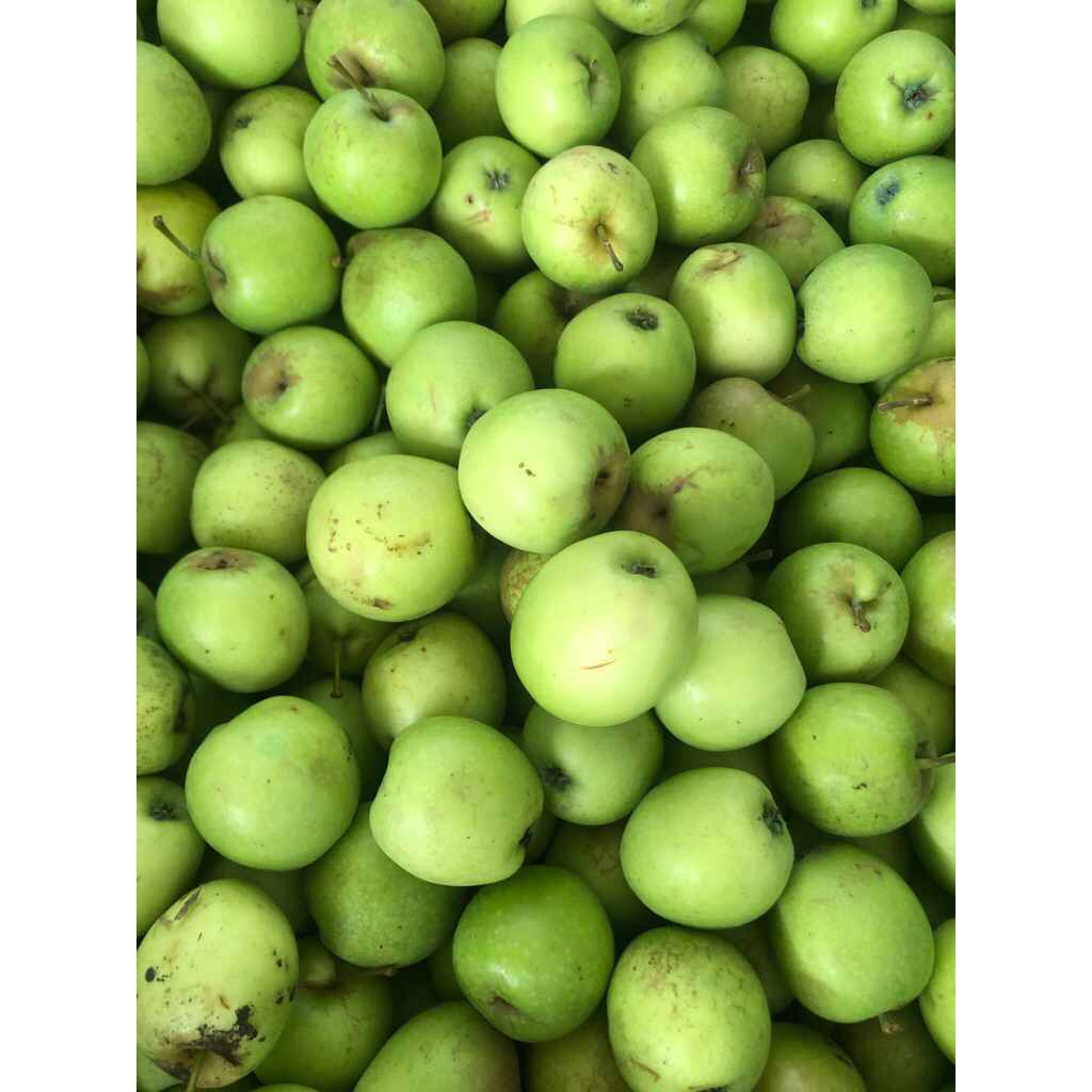 APEL MANALAGI BABY 1 KG
