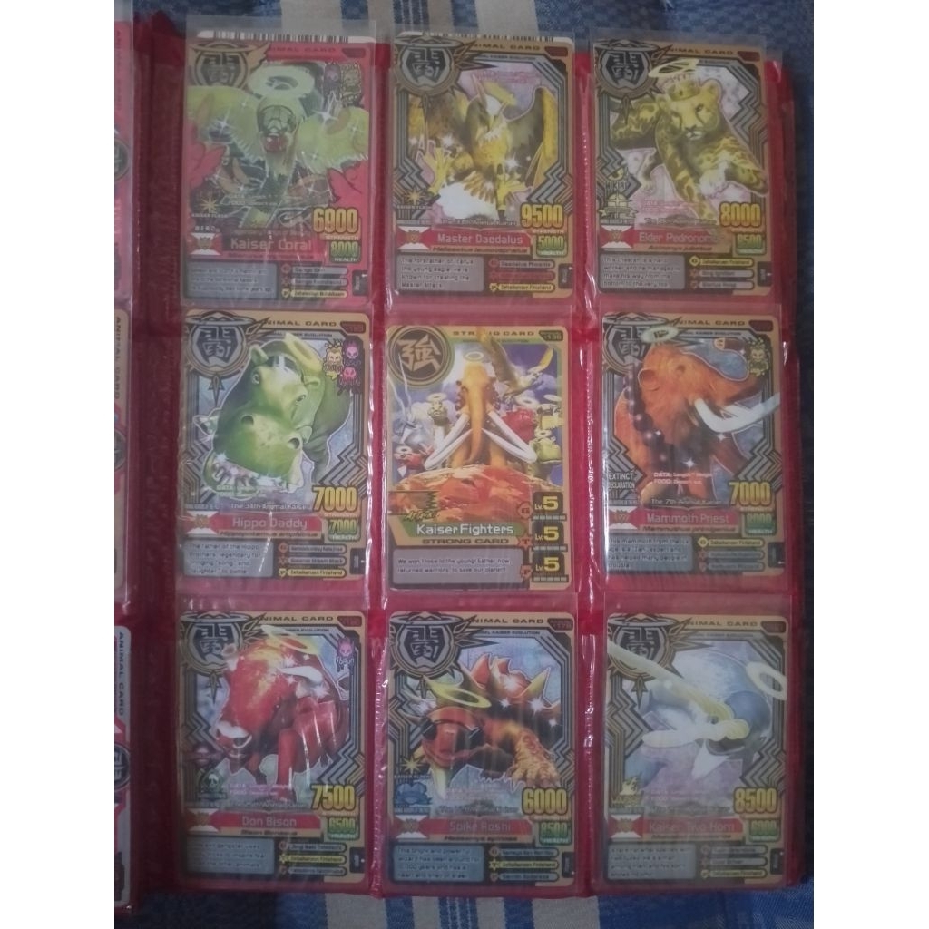 *BORONGAN 150PCS* Kartu Animal Kaiser (KW) premium