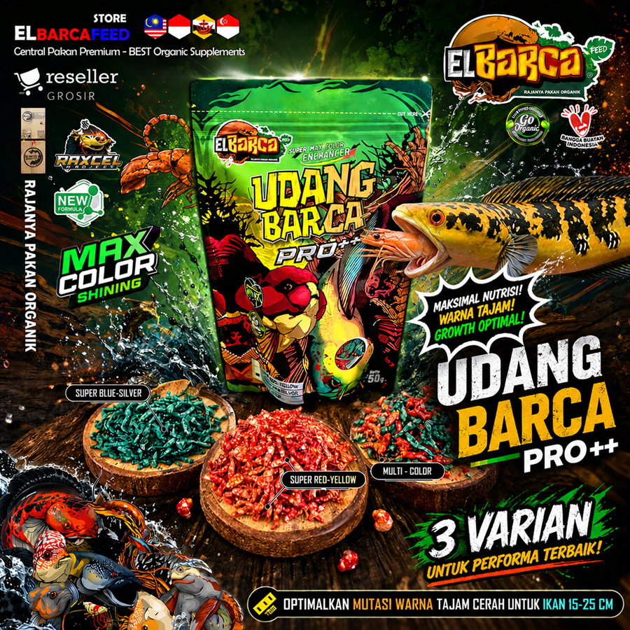 UDANG PRO PLUS COLOR BOOSTER Menaikan warna ikan channa predator koki oscar arwana louhan